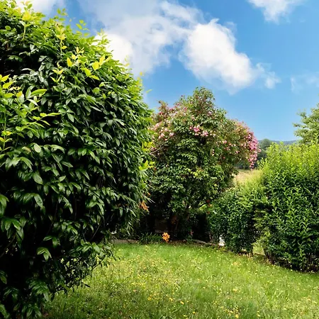 Apartman Nivolet